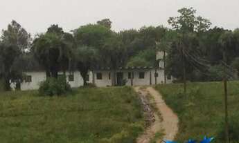 Imagem 2: Velleda oferece belo sítio 16 hectares as margens do asfalto em Águas Claras