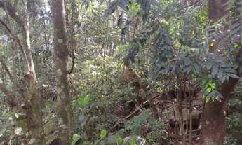 Imagem 3: Terreno à Venda em Gramado!