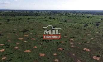 Imagem 6: Fazenda 2000 Hectares Jaiba - MG