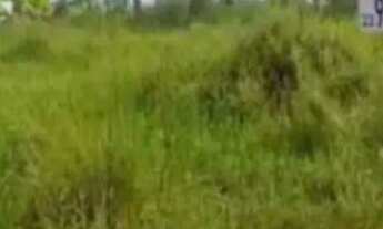 Imagem 5: Terreno 8X20 /40.000 Bairro Valle Verde