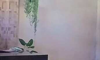 Imagem 5: Casa à venda em Dos Mangues com 52m², 2 Quarto(s) e 1 Vaga(s)