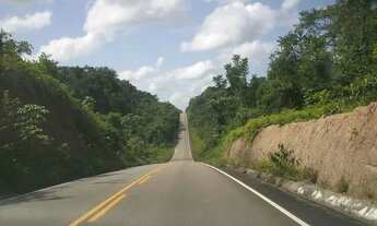 Imagem: Sítio 200 x 960 na BR 174 KM 80 160.000,00