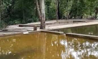 Imagem 6: Venda de chácaras, Sítio