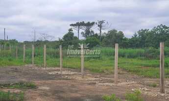 Imagem 7: TERRENO à venda com 128000m² por R$ 12.000.000,00 no bairro Thomaz Coelho - ARAUCÁRIA / PR