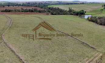 Imagem 2: Sitio de 12 alqueires com excelente estrutura