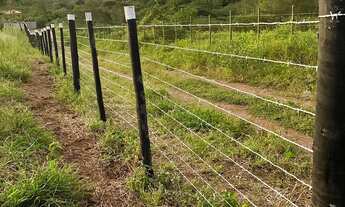 Imagem 5: Chácara a 8km de Feira