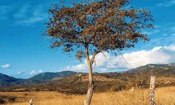 Imagem: Terreno para chácara com boa localização