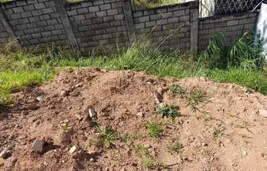 Imagem 4: Terreno à venda em Valinhos, Bosque dos Eucaliptos, com 300 m², Condominio Vivenda das Pit