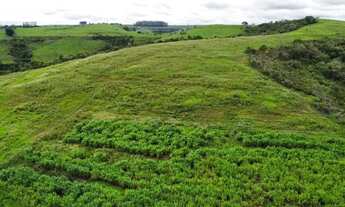 Imagem 7: Sitio 12,4 alqueires Região de São Pedro SP