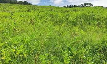 Imagem 4: Seu espaço em Ibiúna: terreno à venda em área em crescimento
