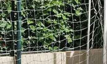 Imagem 7: Ap novo na parada inglesa