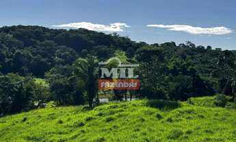 Imagem 5: Sitio 19 alqueires (91,96 hectares) Jandaia - Go