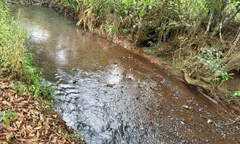 Imagem: Terreno rural com muita água