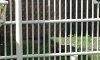 Imagem 7: Casa com 2 quartos 2 banheiros