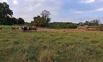 Imagem 3: Sitio Chácara com venda por R$300.000