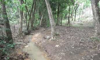 Imagem: Maravilho Sitio de 5.000 m², Jaboticatubas