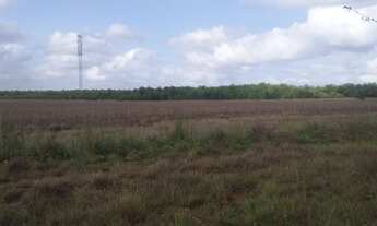 Imagem 5: Fazenda em Periz de Baixo, Bacabeira MA