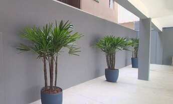 Imagem 3: Apartamento com 2 dormitórios à venda, 39 m² - São Miguel Paulista - São Paulo/SP