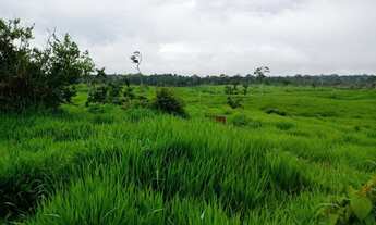 Imagem 5: 200 hectares Fazenda / sítio com venda por R$500.000