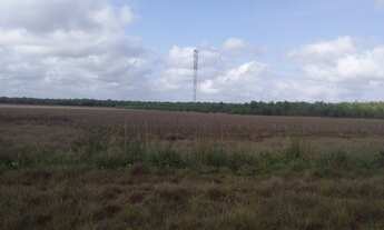 Imagem 4: Fazenda em Periz de Baixo, Bacabeira MA