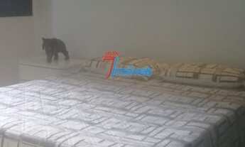 Imagem 6: 4 Quartos Belvedere