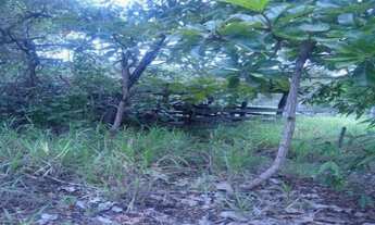 Imagem 6: Pertinho de Lagoa Santa, linda chácara de 20 mil m²,Jaboticatubas (Temos varias opções)