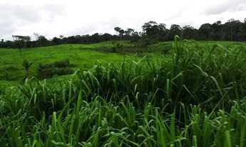 Imagem 4: 200 hectares Fazenda / sítio com venda por R$500.000