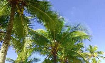 Imagem 7: Feriados em Praia Grande