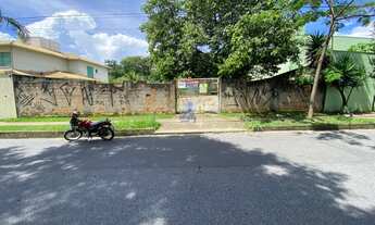 Imagem 2: Llote no Bandeirantes