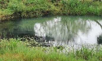 Imagem 2: Chácara em Jaraguari