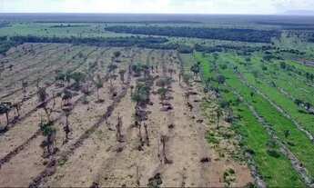 Imagem 7: Fazenda/Sítio/Chácara para venda com 7400000 metros quadrados com 4 quartos