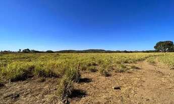 Imagem 7: Fazenda dupla aptidão 540 hac