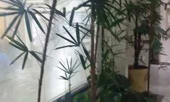 Imagem 4: Casa comercial com 315 metros AC, 8 salas, 6 WC's, 3 vagas - Pq . Continental