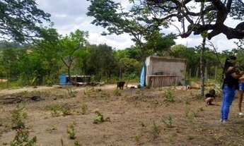 Imagem 2: Lote 1000m² com um cômodo de 4m² - Itatiauçu-MG