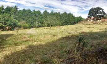 Imagem 5: Casa com 4 dormitórios à venda, 450 m² - Centro - Pardinho/SP