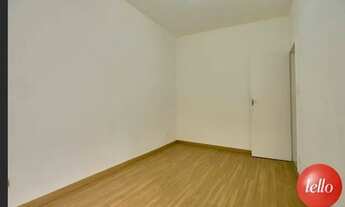 Imagem 7: São Paulo - Casa Padrão - Pinheiros