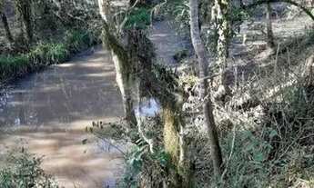 Imagem 2: Chacrinha Chácara com venda por R$120.000