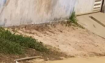 Imagem 4: Vende se ou trocar em outra casa aceito proposta