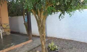 Imagem 5: Vendo Joana Darc