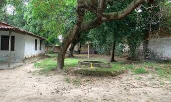 Imagem 3: Sítio oportunidade