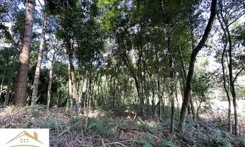 Imagem 5: Área de terras com 30.055,34 metros quadrados no Pinhal Alto Nova Petrópolis RS. Ref.:1126