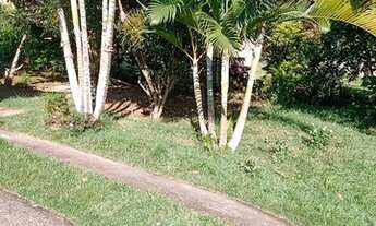 Imagem 6: Vendo essa chácara no Japão grande município de Carmópolis de Minas