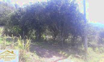 Imagem 3: Belíssima área de terra em Picada bairro Joaneta , RS Ref.:654