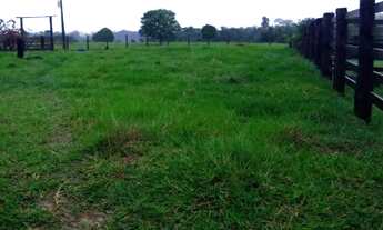 Imagem: Fazenda a venda 58 alqueires 47 de capim!