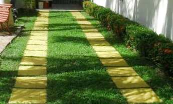 Imagem 2: Casa Amazon Garden