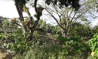 Imagem: Terreno 10x22 em Abreu e Lima ( Centro)