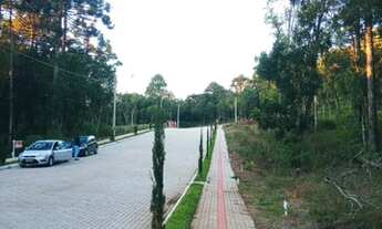 Imagem 4: Terreno bairro Linha Imperial, Nova Petrópolis RS Ref.:1043