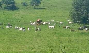 Imagem 3: FAZENDA A VENDA EM CAMPO VERDE!!!