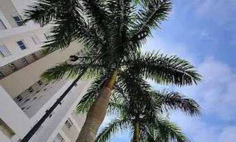 Imagem 7: Apartamento com 3 dormitórios à venda, 123 m² por R$ 1.484.000 - Centro - São Bernardo do