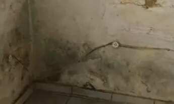 Imagem 6: São Paulo - Casa Padrão - Vila Formosa